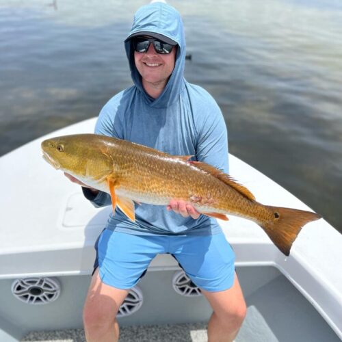 E8E1C753-3BE6-4C5B-BE6F-21EA37C09702