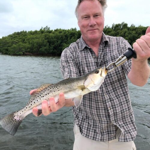 F15E6A33-5C9D-44A6-BBBC-EEDE6206C2BC