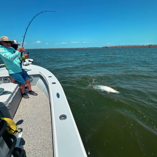 FF88ECB5-275F-430F-A27F-E4DB6881BFF3