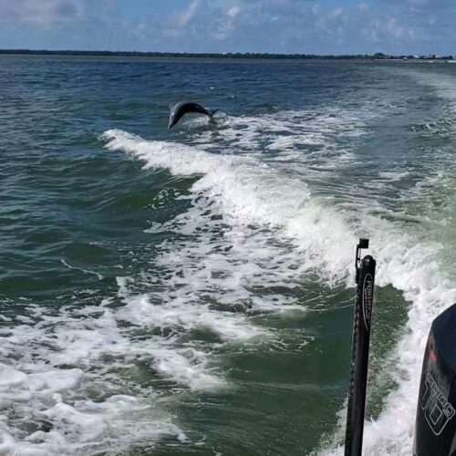 Resized_Screenshot_20211026-162221_Gallery