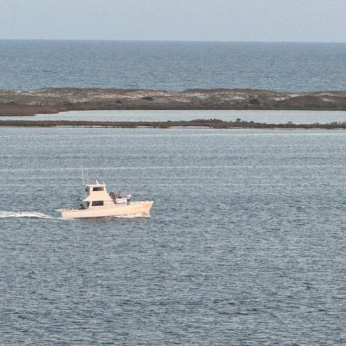 att.77XwpTPGvVAkOVFV915wBLrY-fmixxax16eaeKxrE78